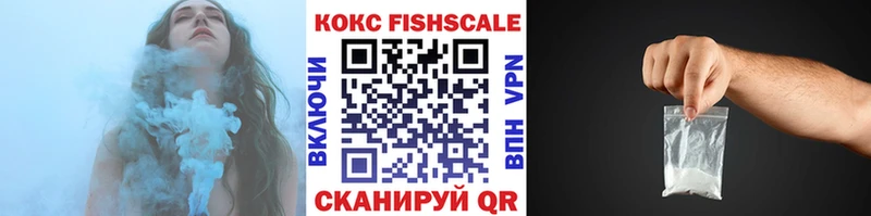 ОМГ ОМГ вход  Алапаевск  Кокаин Fish Scale 