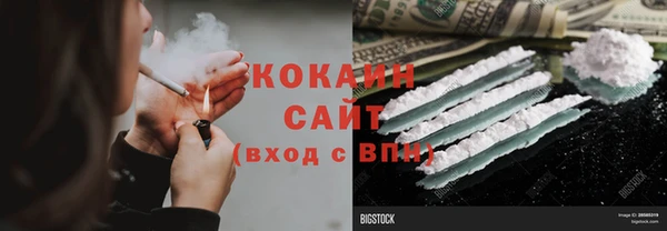 хмурый Алзамай
