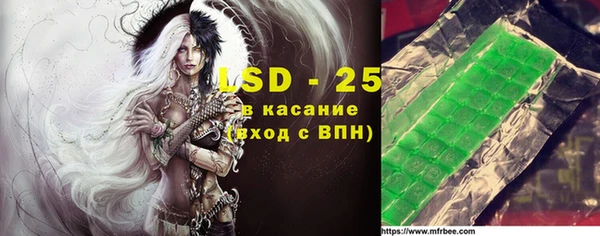 хмурый Алзамай