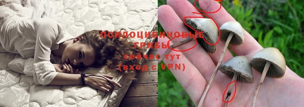 mdpv Алексеевка