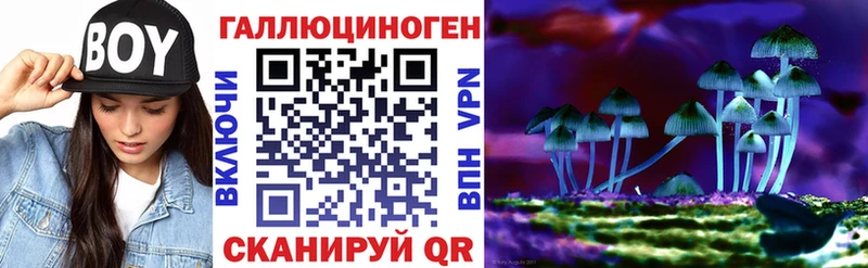 Галлюциногенные грибы мицелий  где купить   гидра   Алапаевск 