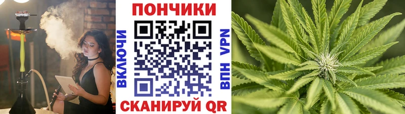 где продают наркотики  blacksprut рабочий сайт  Канабис White Widow  Алапаевск 